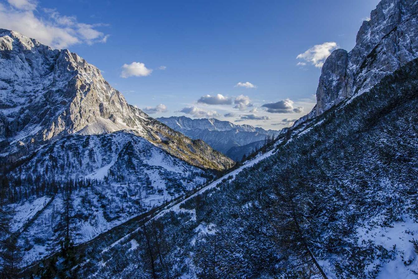 Doloremque impedit