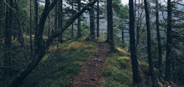 Lire la suite à propos de l’article Consectetur quod voluptatem sequi molestiae quaerat